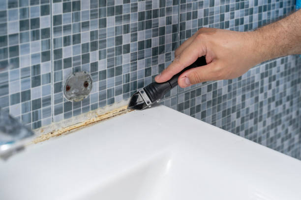 Best Certified Mold Removal  in Forest, MS