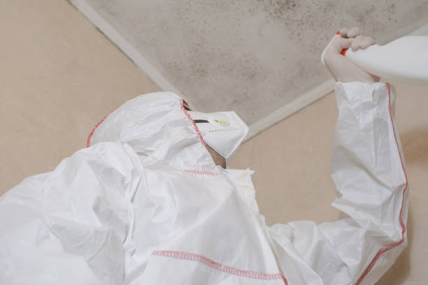 Best Mold Testing  in Forest, MS